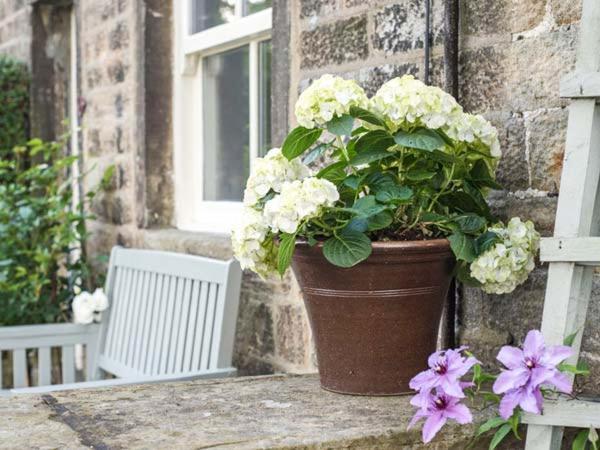 Beacon Cottage Ilkley Eksteriør billede